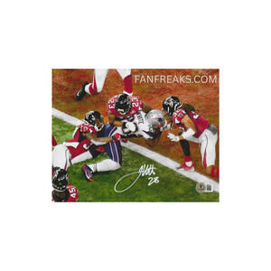 James White New England Patriots Autographed 8x10 Photo Reprint